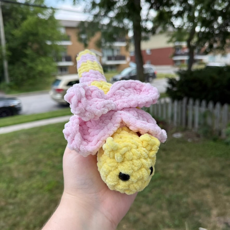 Crochet Dragonfly