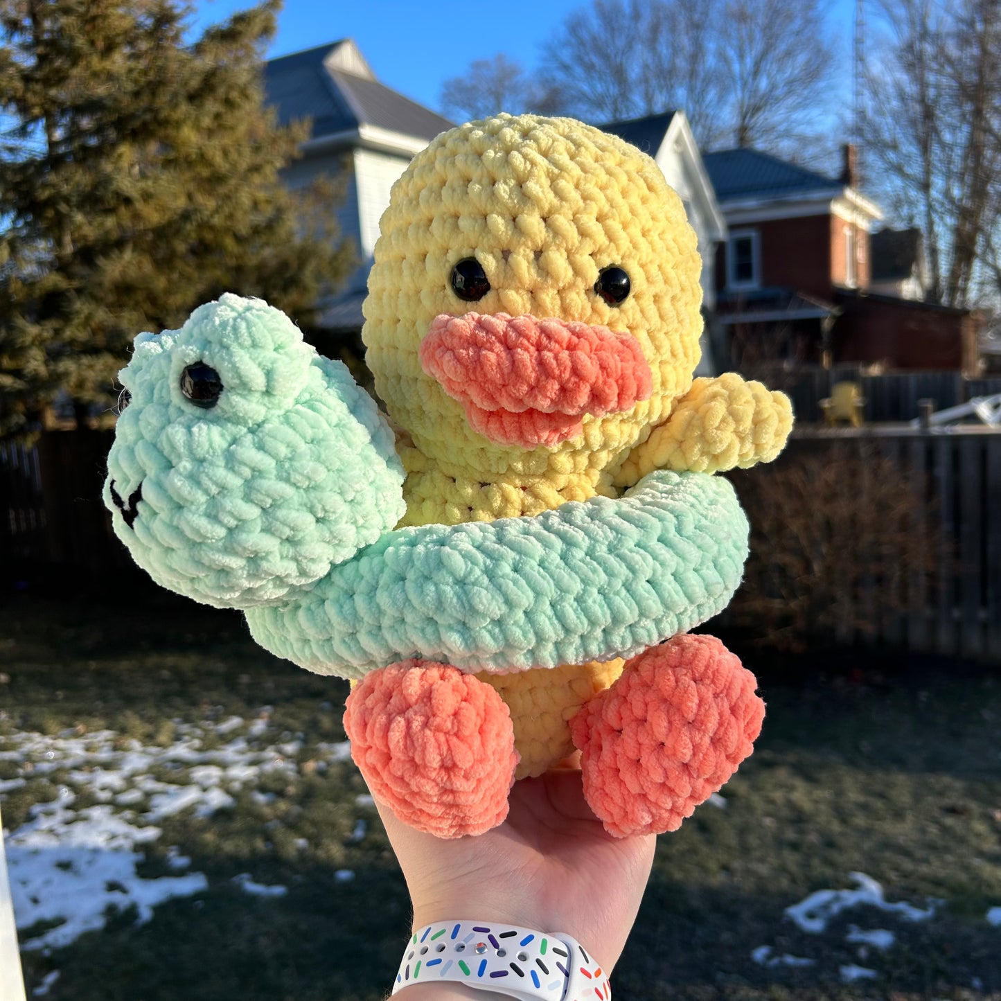 Duck with Frog Floatie Plushie